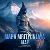 About Maha Mrityunjaya Jaap Song